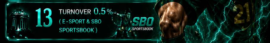 Turnover E-sport & SboBet 0.5%
