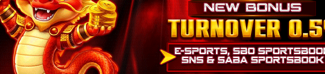 BONUS TURNOVER SLOT E-SPORT & SBOBET 0.5%