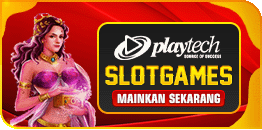 PLAY TECH